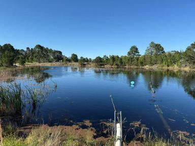 Residential Block For Sale - QLD - Cottonvale - 4375 - Prime location Cottonvale/Stanthorpe  (Image 2)