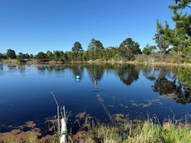 Residential Block For Sale - QLD - Cottonvale - 4375 - Prime location Cottonvale/Stanthorpe  (Image 2)