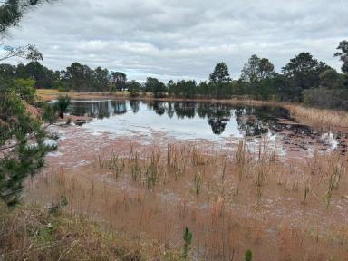 Residential Block For Sale - QLD - Cottonvale - 4375 - Prime location Cottonvale/Stanthorpe  (Image 2)