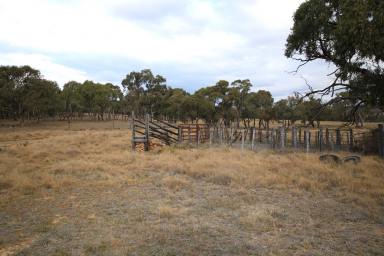 Lifestyle For Sale - NSW - Chakola - 2630 - DISCOVER YOUR RURAL SANCTUARY INCLUDING A VINEYARD  (Image 2)