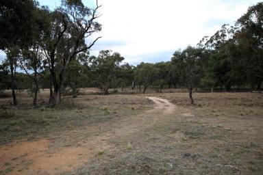 Lifestyle For Sale - NSW - Chakola - 2630 - DISCOVER YOUR RURAL SANCTUARY INCLUDING A VINEYARD  (Image 2)