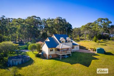 Acreage/Semi-rural For Sale - NSW - Wallagoot - 2550 - Appealing Country Residence  (Image 2)