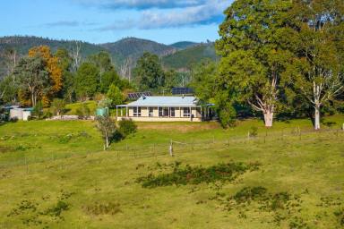 Lifestyle For Sale - VIC - Buchan - 3885 - Westlea Farm  (Image 2)