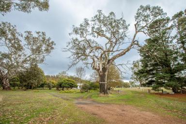Lifestyle For Sale - VIC - Kadnook - 3318 - Charming Lifestyle Property in Kadnook  (Image 2)