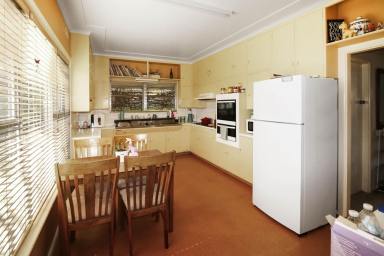 House For Sale - NSW - Glen Innes - 2370 - Park-Like Gardens and Spacious Family Home  (Image 2)