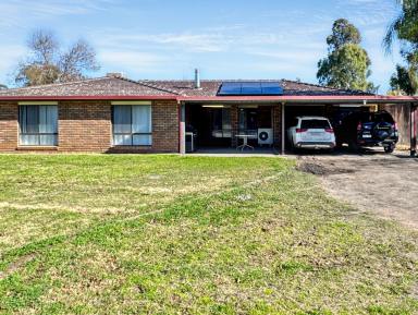 Acreage/Semi-rural For Sale - NSW - Narrabri - 2390 - SOLID BRICK FAMILY HOME ON 10HA -SPACE TO ROAM  (Image 2)