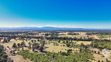 Acreage/Semi-rural For Sale - NSW - Narrabri - 2390 - SOLID BRICK FAMILY HOME ON 10HA -SPACE TO ROAM (Image 2)