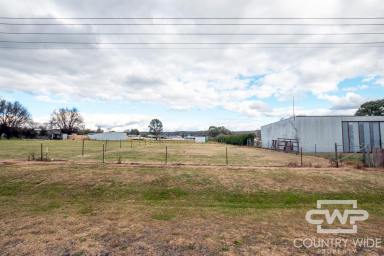 Residential Block For Sale - NSW - Glen Innes - 2370 - Rare Opportunity: Vacant Land in Glen Innes!  (Image 2)