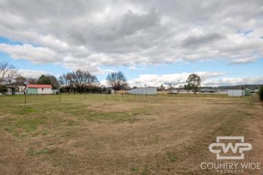 Residential Block For Sale - NSW - Glen Innes - 2370 - Rare Opportunity: Vacant Land in Glen Innes!  (Image 2)