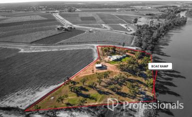 House For Sale - NSW - Monak - 2738 - Dream Lifestyle on the Mighty Murray River  (Image 2)