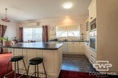 House For Lease - NSW - Glen Innes - 2370 - Move-In Ready & Fully Furnished in the Heart of Glen Innes  (Image 2)