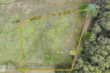 Residential Block For Sale - VIC - Noojee - 3833 - CREATE THAT LIFESTYLE  (Image 2)