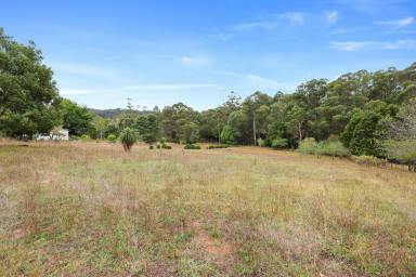 Residential Block For Sale - VIC - Noojee - 3833 - CREATE THAT LIFESTYLE  (Image 2)