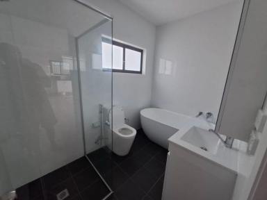 House For Lease - NSW - Carlton - 2218 - New Two Bedroom Granny Flat in Carlton  (Image 2)