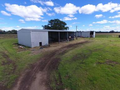 Mixed Farming Auction - NSW - Yorklea - 2470 - 'SILKY OAK' - 89 ACRES  (Image 2)