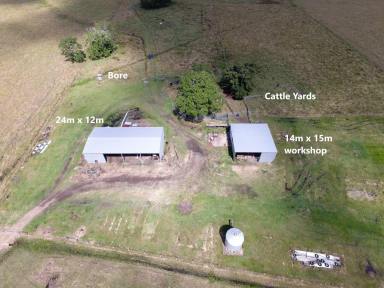 Mixed Farming Auction - NSW - Yorklea - 2470 - 'SILKY OAK' - 89 ACRES  (Image 2)