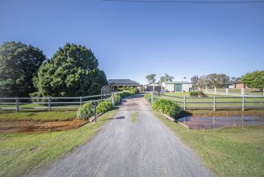 House For Sale - NSW - Salt Ash - 2318 - Location, Space & Serenity  (Image 2)