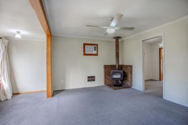 House For Sale - SA - Naracoorte - 5271 - Family home or investment opportunity  (Image 2)
