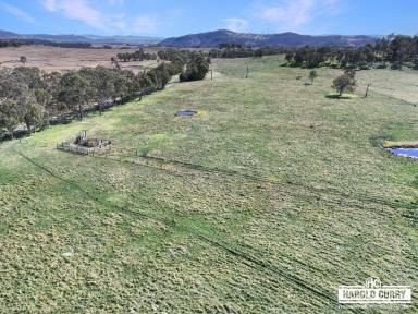 Lifestyle Auction - NSW - Tenterfield - 2372 - Jeff Campbell's 'Kookendoon'  (Image 2)