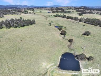 Lifestyle Auction - NSW - Tenterfield - 2372 - Jeff Campbell's 'Kookendoon'  (Image 2)