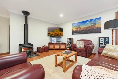 House For Sale - SA - Cadell - 5321 - RIVERFRONT - 4 BEDROOM HOME - 5 ACRES - BIG SHEDDING  (Image 2)