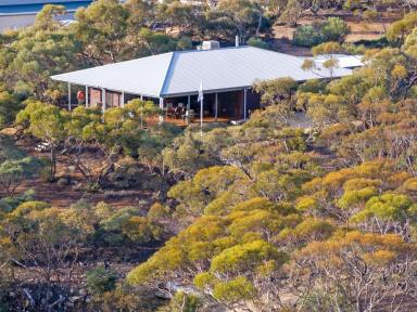 House Auction - SA - Cadell - 5321 - RIVERFRONT - 4BED - 5 ACRES - Auction - Unless Sold Prior - date to be confirmed  (Image 2)