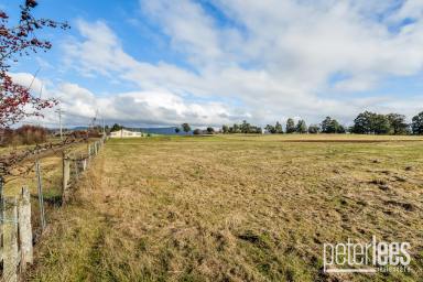 Residential Block For Sale - TAS - Westbury - 7303 - Five Lifestyle Blocks 
"Room to Roam, Space to Grow"  (Image 2)