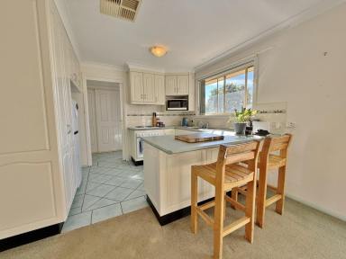House For Sale - NSW - Young - 2594 - Great Property, Great Location  (Image 2)