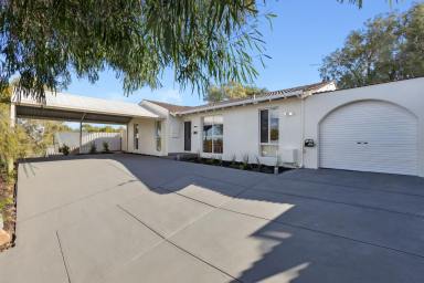 House For Sale - WA - Padbury - 6025 - Standing Tall, With Room to Grow!  (Image 2)
