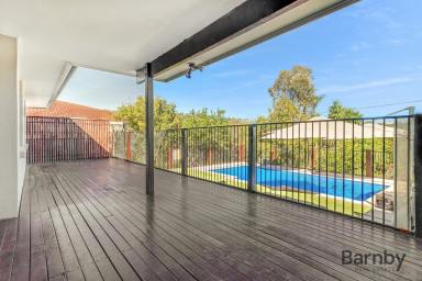 House For Sale - QLD - Palmwoods - 4555 - ELEVATED FAMILY LIVING WITH RANGE VIEWS AND POOL  (Image 2)