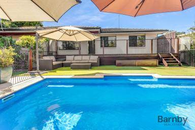 House For Sale - QLD - Palmwoods - 4555 - ELEVATED FAMILY LIVING WITH RANGE VIEWS AND POOL  (Image 2)