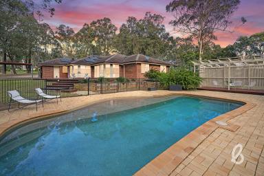 House Sold - NSW - North Rothbury - 2335 - Family Living at It's Best.  (Image 2)