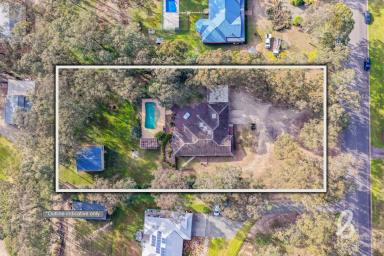House Auction - NSW - North Rothbury - 2335 - Family Living at It's Best.  (Image 2)