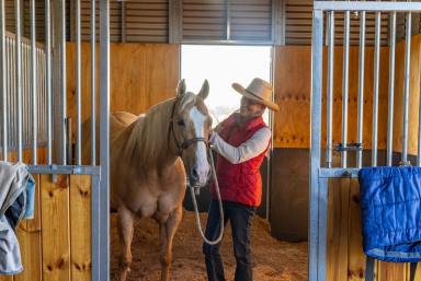 House Auction - NSW - Murrumbateman - 2582 - Canberra Region Cattle, Horses & Lifestyle With City Convenience  (Image 2)