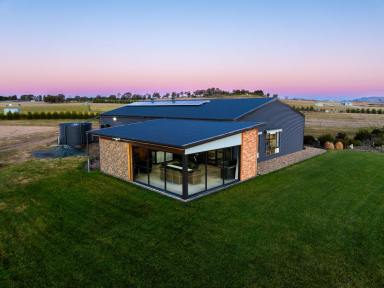 House Auction - NSW - Murrumbateman - 2582 - Canberra Region Cattle, Horses & Lifestyle With City Convenience  (Image 2)