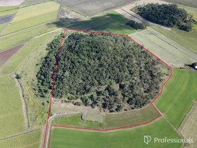 Lifestyle Auction - QLD - Balnagowan - 4740 - Build Your Dream Home Away from the Rat Race!  (Image 2)