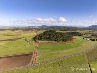 Lifestyle Auction - QLD - Balnagowan - 4740 - Build Your Dream Home Away from the Rat Race!  (Image 2)