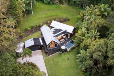 House Auction - QLD - Doonan - 4562 - Architectural Elegance in a Private Hinterland Sanctuary  (Image 2)