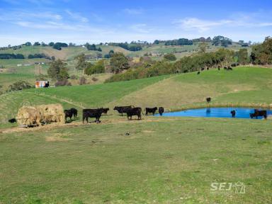 Other (Rural) For Sale - VIC - Ranceby - 3951 - Grazing Block - Close to Town!  (Image 2)