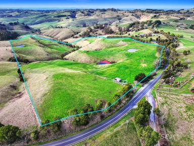 Other (Rural) For Sale - VIC - Ranceby - 3951 - Grazing Block - Close to Town!  (Image 2)