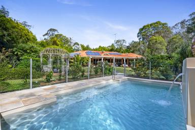 House For Sale - QLD - Highvale - 4520 - Luxurious 5 Bedroom Retreat on 2.17 acres with town water!  (Image 2)
