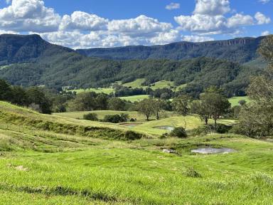 Mixed Farming For Sale - NSW - Kangaroo Valley - 2577 - 100 ACRES Kangaroo Valley Great Escarpment Views With House  (Image 2)