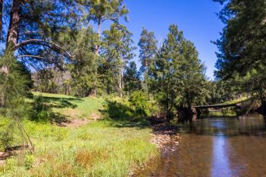 Mixed Farming For Sale - NSW - Kangaroo Valley - 2577 - 100 ACRES Kangaroo Valley Great Escarpment Views Creek Frontage  (Image 2)