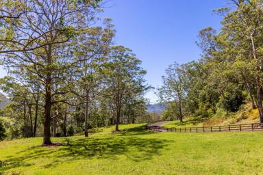 Mixed Farming For Sale - NSW - Kangaroo Valley - 2577 - 100 ACRES Kangaroo Valley Great Escarpment Views With House  (Image 2)
