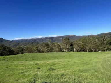 Mixed Farming For Sale - NSW - Kangaroo Valley - 2577 - Large Farm Kangaroo Valley 1.5 Hrs South of Sydney  (Image 2)