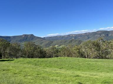 Mixed Farming For Sale - NSW - Kangaroo Valley - 2577 - 100 ACRES Kangaroo Valley Great Escarpment Views Creek Frontage  (Image 2)