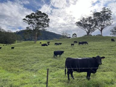 Mixed Farming For Sale - NSW - Kangaroo Valley - 2577 - Large Farm Kangaroo Valley 1.5 Hrs South of Sydney  (Image 2)