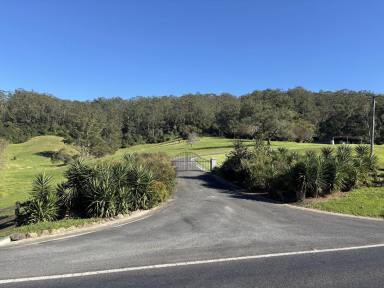 Mixed Farming For Sale - NSW - Kangaroo Valley - 2577 - Large Farm Kangaroo Valley 1.5 Hrs South of Sydney  (Image 2)