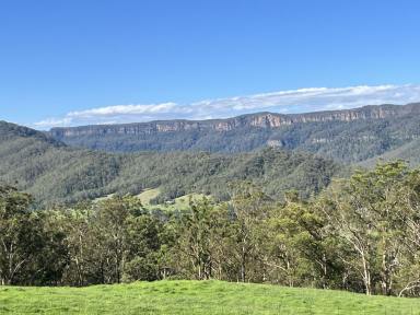 Mixed Farming For Sale - NSW - Kangaroo Valley - 2577 - 100 ACRES Kangaroo Valley Great Escarpment Views With House  (Image 2)