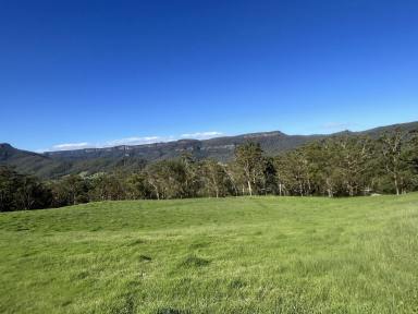 Mixed Farming For Sale - NSW - Kangaroo Valley - 2577 - 100 ACRES Kangaroo Valley Great Escarpment Views Creek Frontage  (Image 2)